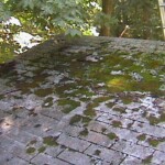 A shingle roof with moss growing on it.